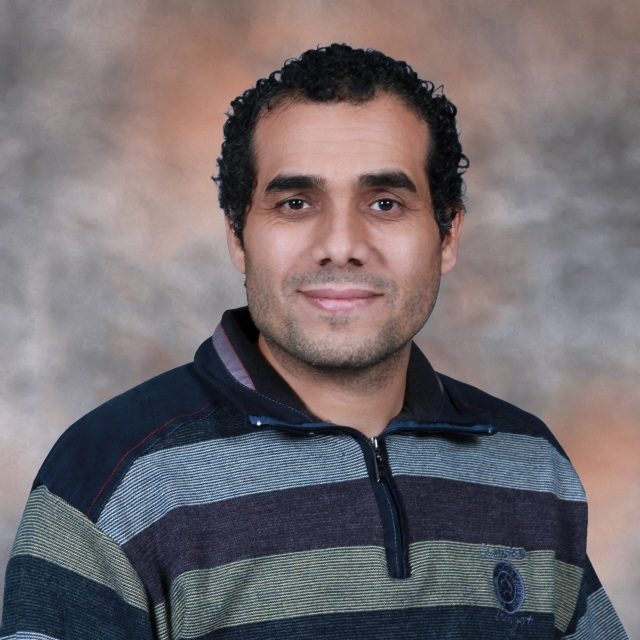 Mokhtar Rashwan