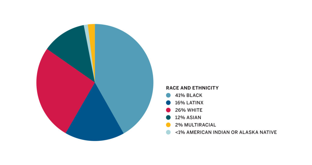 Race and ethnicity statistics pie chart